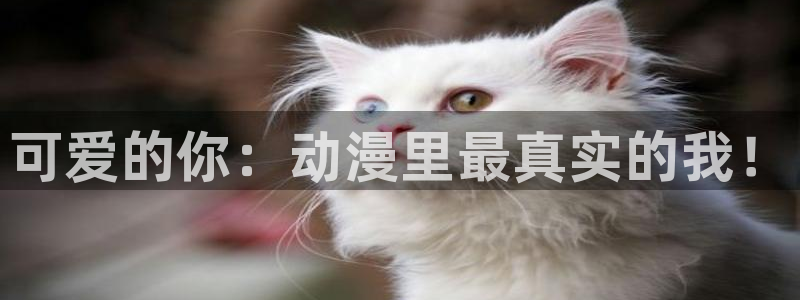 omofun在线观看：可爱的你：动漫里最真实的我！