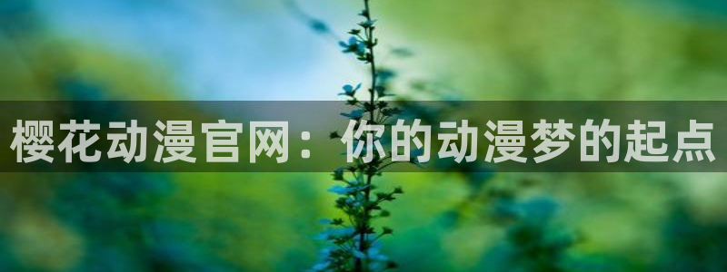 omofun/：樱花动漫官网：你的动漫梦的起点