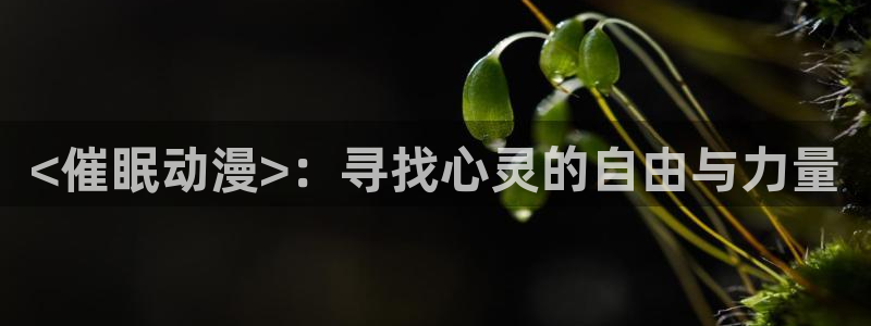 omofun缓存
