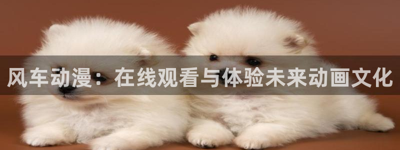omofun宕卧：风车动漫：在线观看与体验未来动画文化